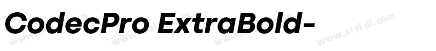 CodecPro ExtraBold字体转换 CodecPro ExtraBold字体转换